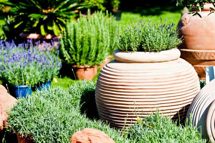 Terracotta Italien Impruneta frostsicher Terracotta Italien Impruneta frostsicher